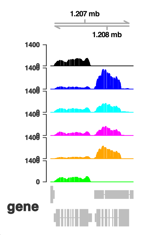 Gviz very quick output