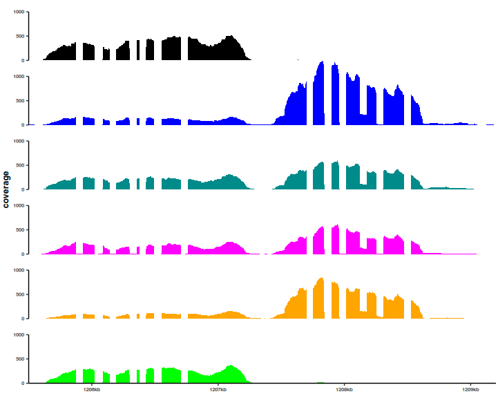 tidyCoverage output