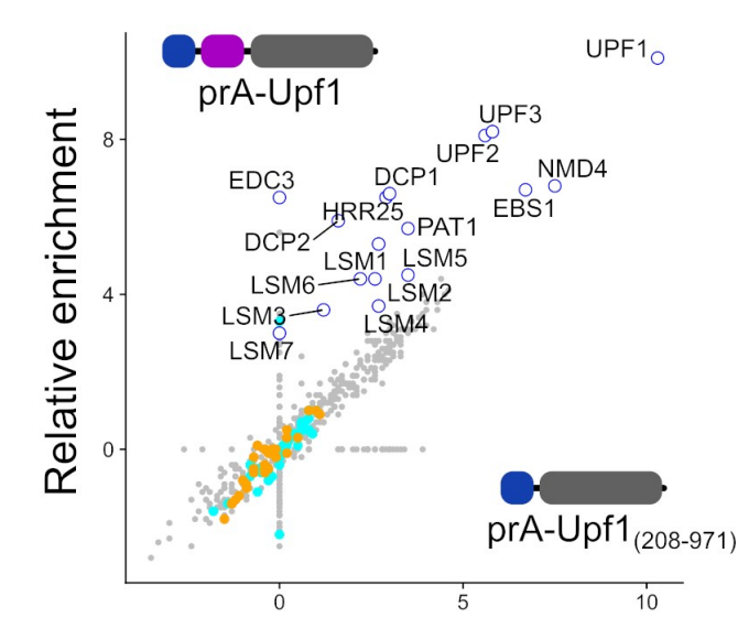 Scatterplot with MS results for yeast Upf1